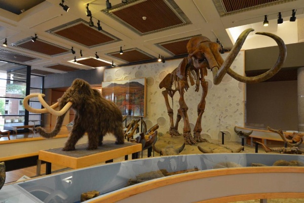 Staybridge Suites Des Moines Downtown image 16